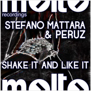 MOL204 | STEFANO MATTARA & PERUZ – Shake It And Like It