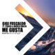 MOL247_ME GUSTA